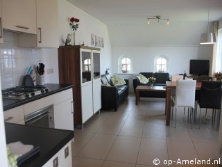  De Amelander Zilvermeeuw