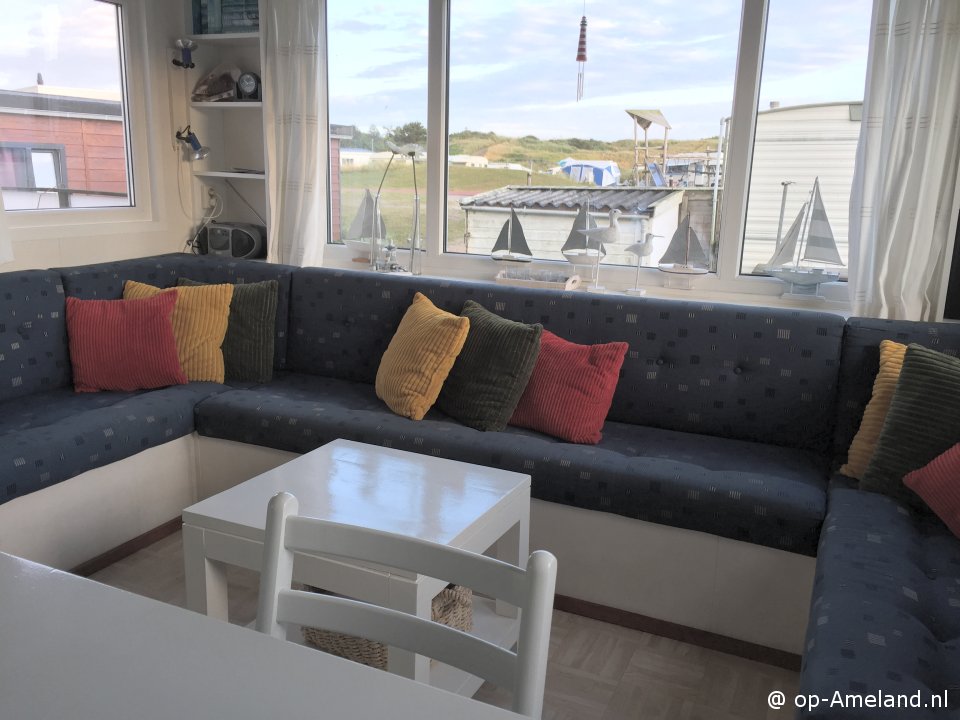  Duinoord 216 Aalscholver