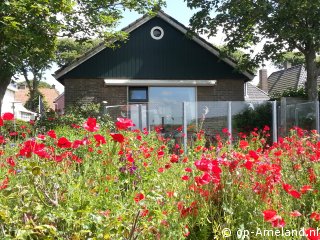 Alfit, Hollum on Ameland