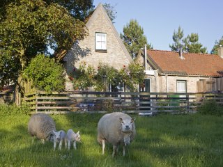 Beppe van Ameland, Hollum on Ameland