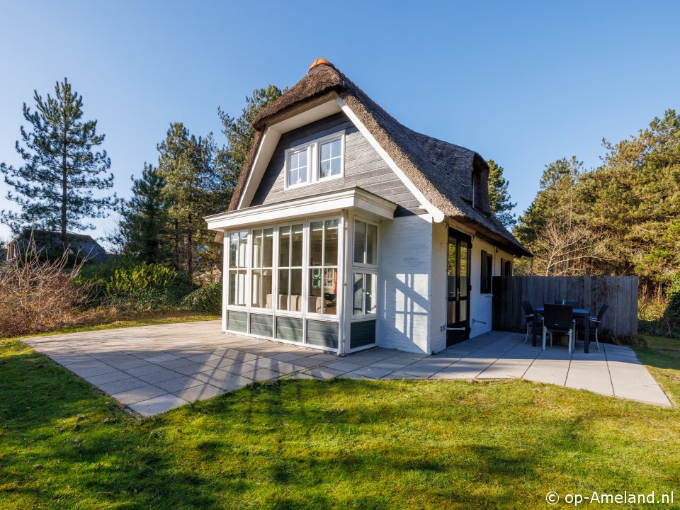 Lastminute Blauwe Distel