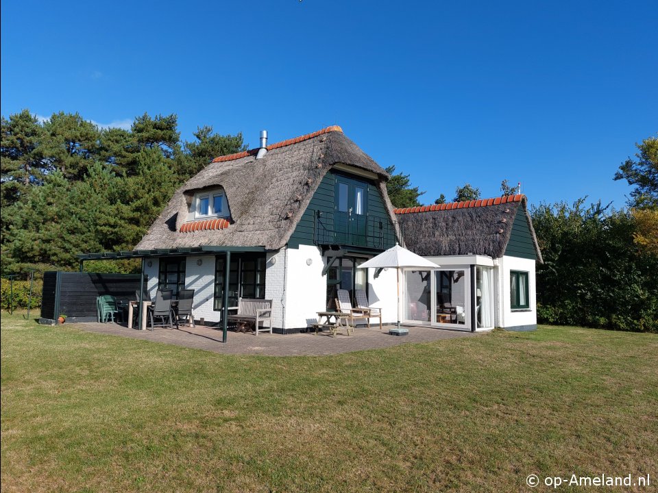 Carex, Hollum on Ameland