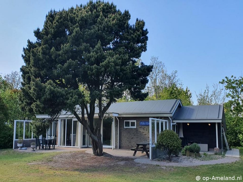 Pura Vida, Hollum on Ameland